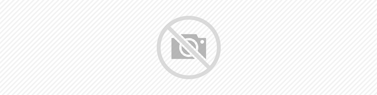 Featured image for Coronvirus Update